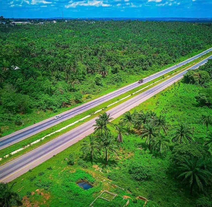 Infrastructure & Development